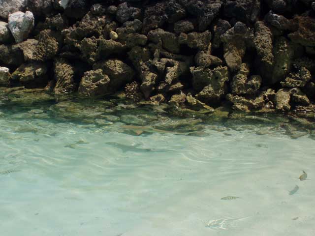 P2100035
