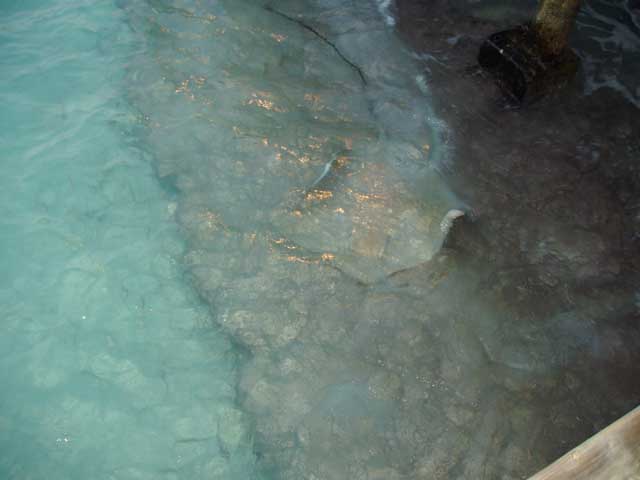 P2110050