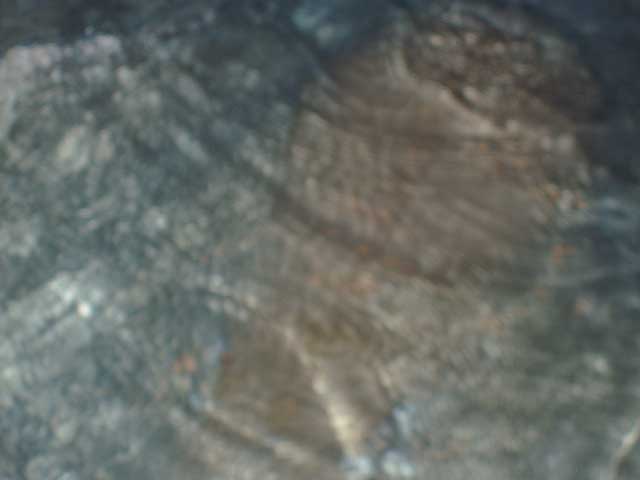P2110058