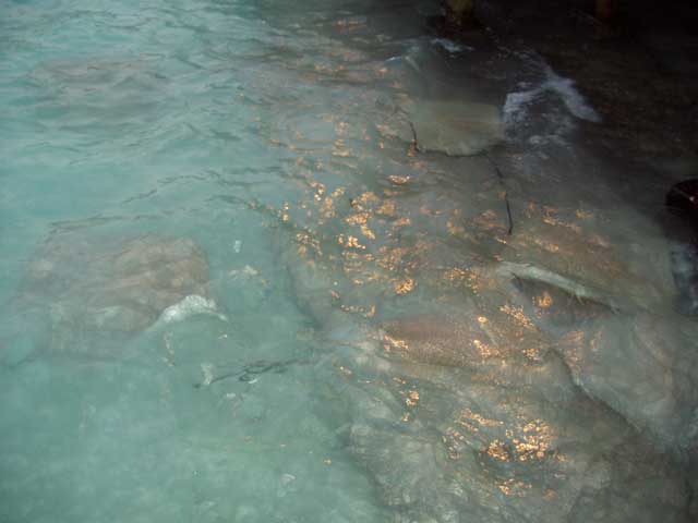 P2110060