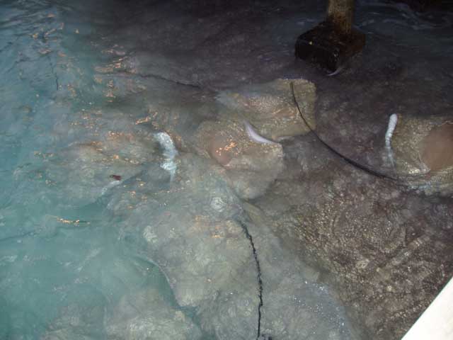 P2110061