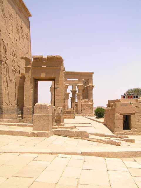 P7230211