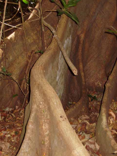P4260002