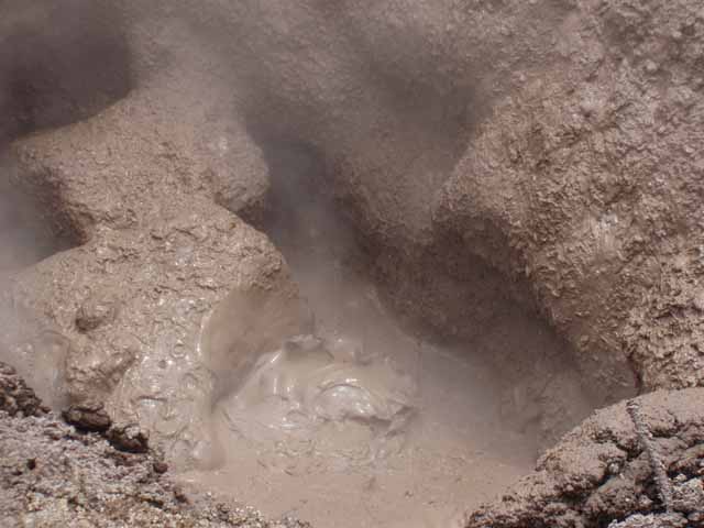 P4260032
