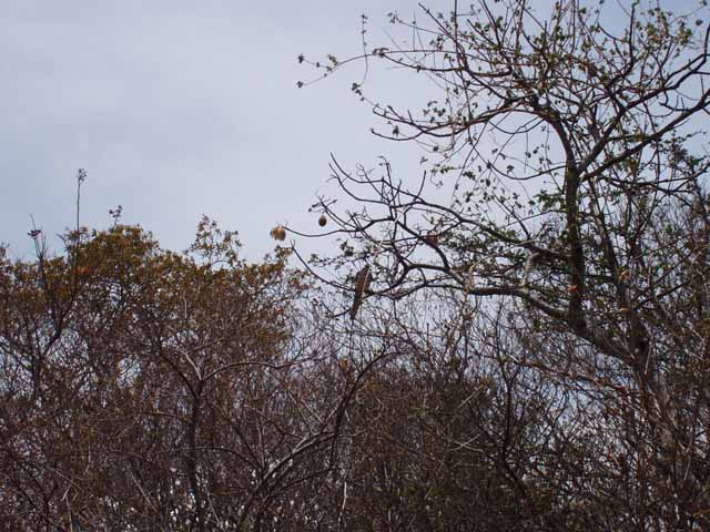 P4260045