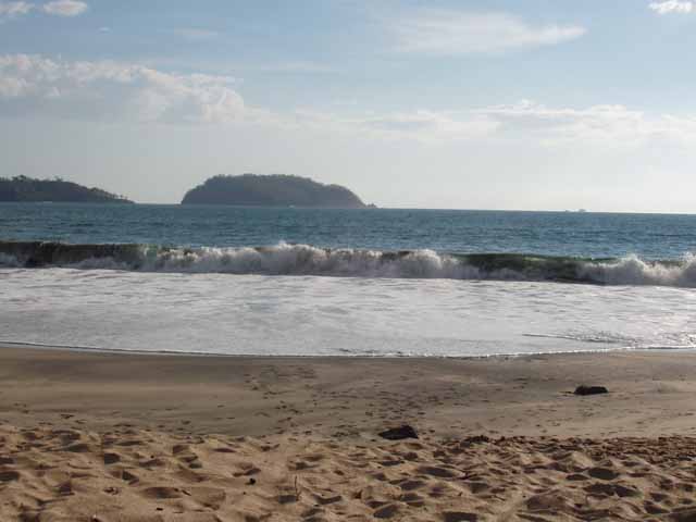 P4290071