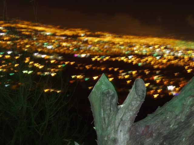 P4300103