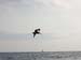P4230044