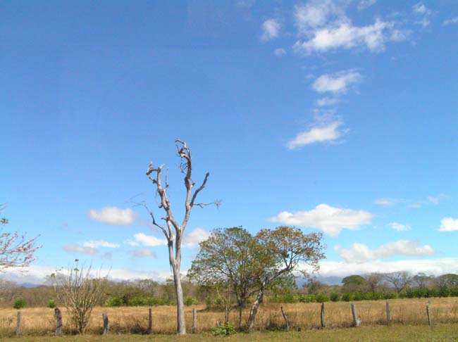 P2160016