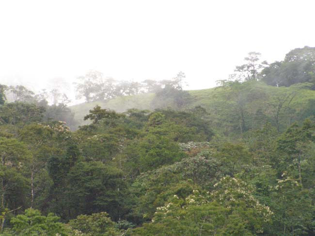 P2170052