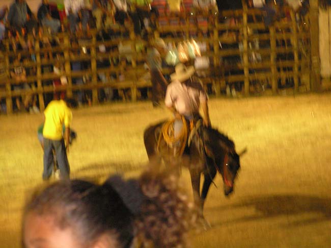 P2190007