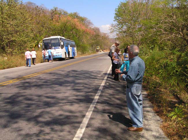 fermi con autobus