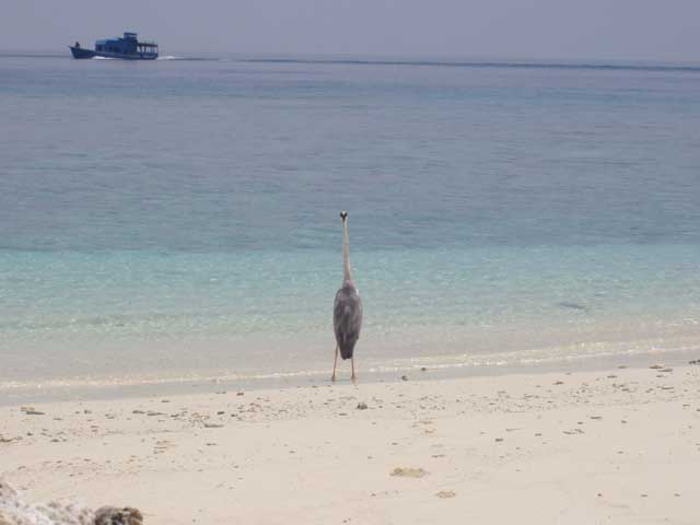 P2100028