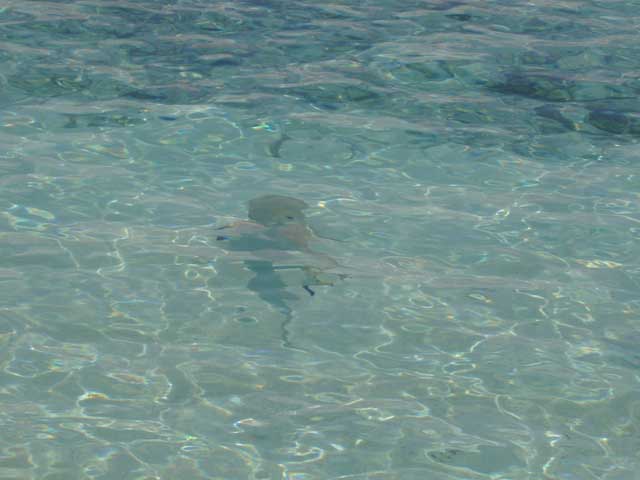 P2100040