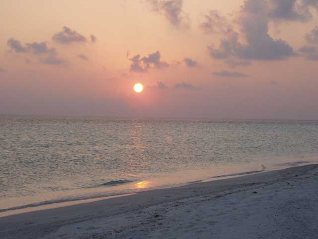 P2120098