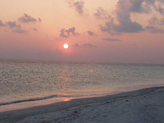 P2120099