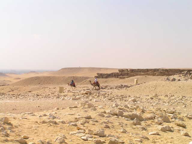P7210099