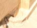 P7220143
