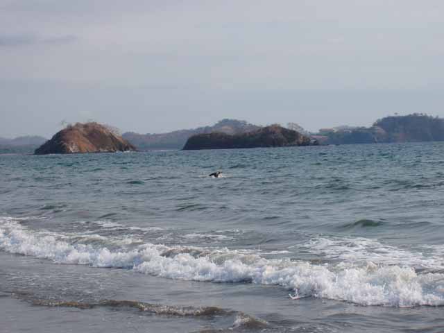 P4230056