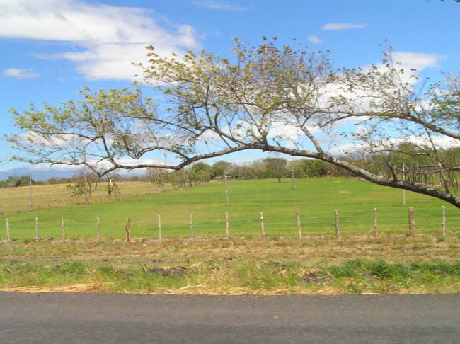 P2160027