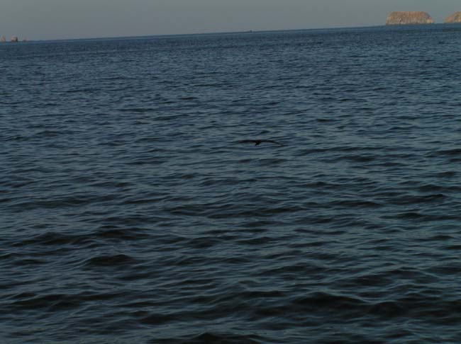 P2220002