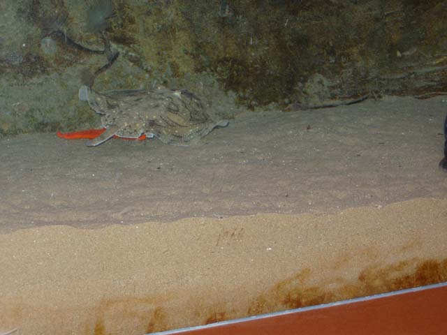 P3270013