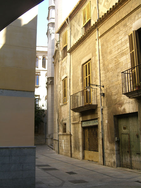 CIMG2781