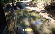 Guado