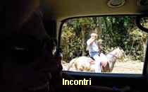 Incontri