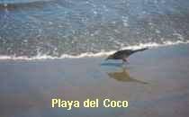 Playa del Coco