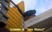 Resort Toro Blanco