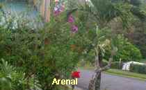 Arenal