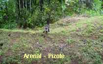 Arenal-Pishoti