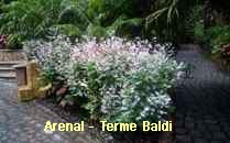 Arenal-Terme
