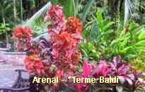 Arenal-Terme