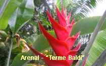 Arenal-Terme