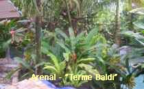 Arenal-Terme