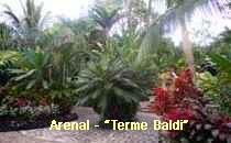 Arenal-Terme