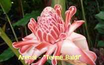 Arenal-Terme