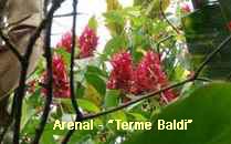 Arenal-Terme