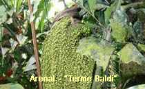Arenal-Terme