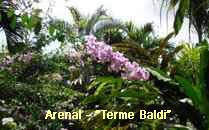 Arenal-Terme