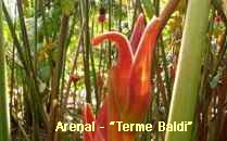 Arenal-Terme