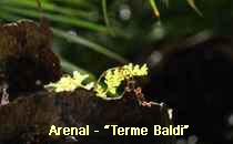 Arenal-Terme
