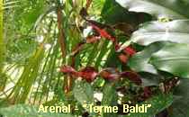 Arenal-Terme