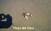 Playa del Coco