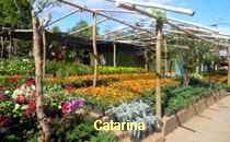 Catarina-Nicaragua