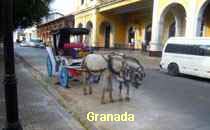 Granada