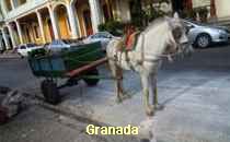 Granada