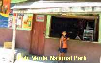 Palo Verde